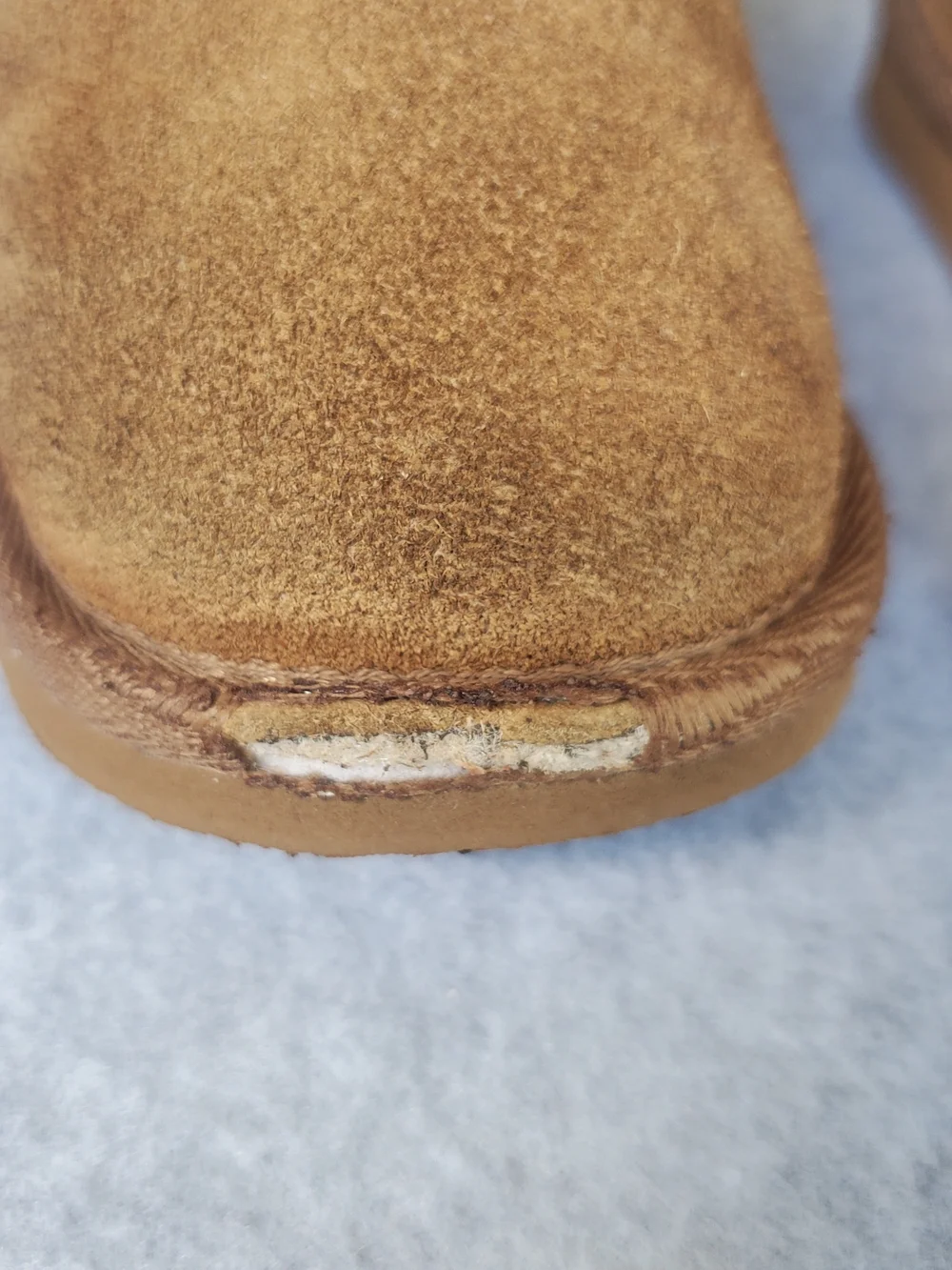 BearPaw note please
